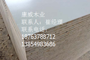 茄子视频APP懂你
