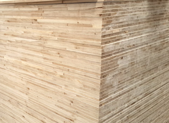 桐木茄子视频APP懂你厂家解释为什么这种板材会更环保